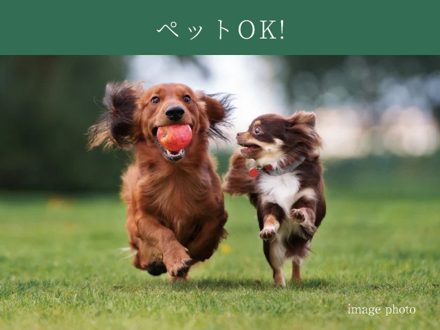 ペットOK